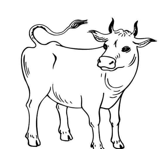 牛的笔顺怎么写,牛的笔顺图4